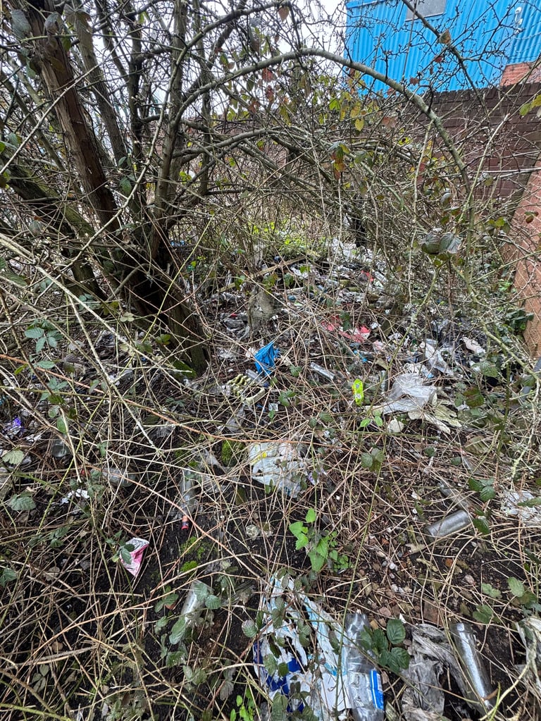 Overgrown tangle of bare branches and vines with scattered plastic waste and litter, blue corrugated metal visible in background